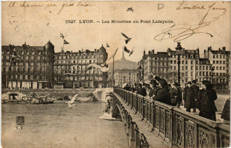 Carte postale ancienne Lyon Les Mouettes au Pont Lafayette à Lyon