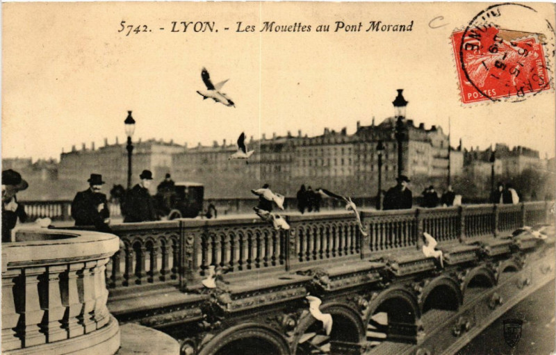Carte postale ancienne Lyon Les Mouettes au Pont Morand à Lyon