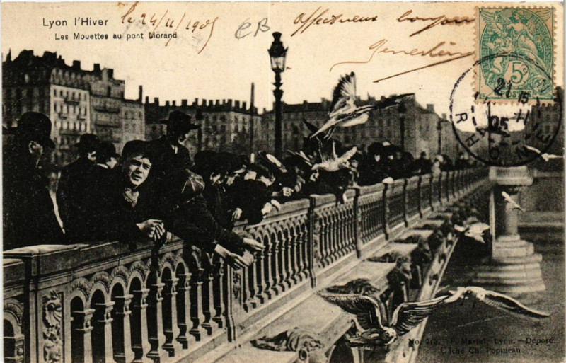 Carte postale ancienne Lyon l'Hiver les mouettes au Pont Morand à Lyon