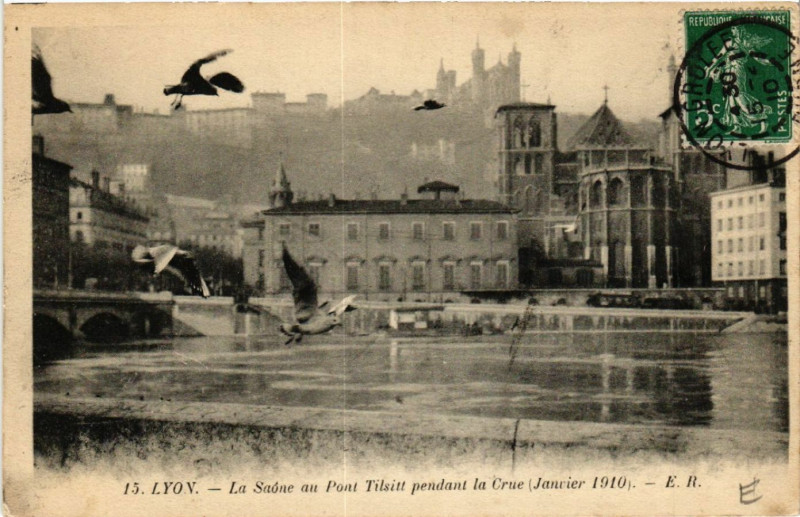 Carte postale ancienne Lyon La Saone au Pont Tilsitt pendant la Crue. Les Mouettes à Lyon