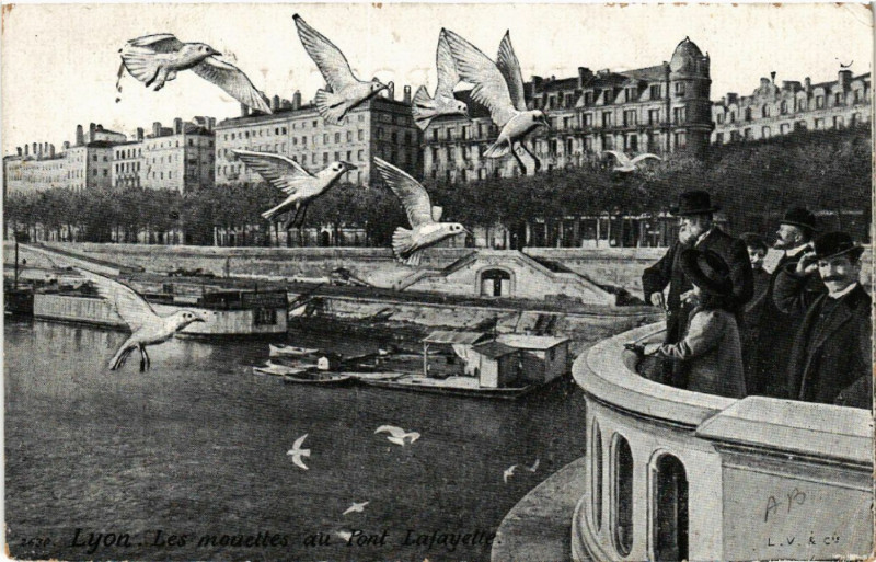 Carte postale ancienne Lyon Les Mouettes au Pont Lafayette à Lyon