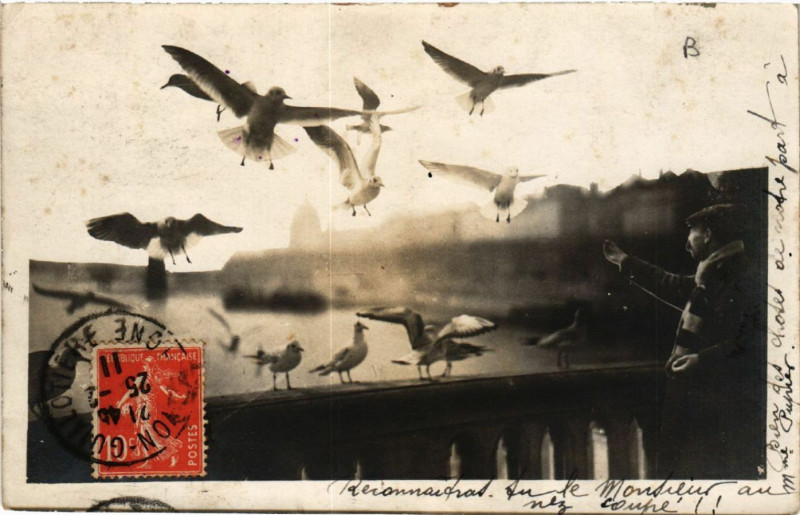 Carte postale ancienne Lyon Les Mouettes carte photo à Lyon