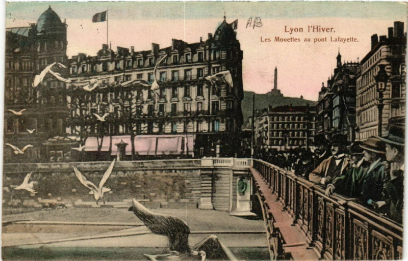Carte postale ancienne Lyon l'Hiver Les Mouettes au Pont Lafayette à Lyon
