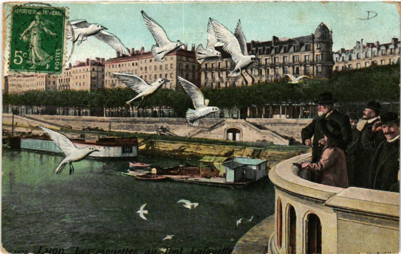 Carte postale ancienne Lyon Les Mouettes au Pont Lafayette à Lyon