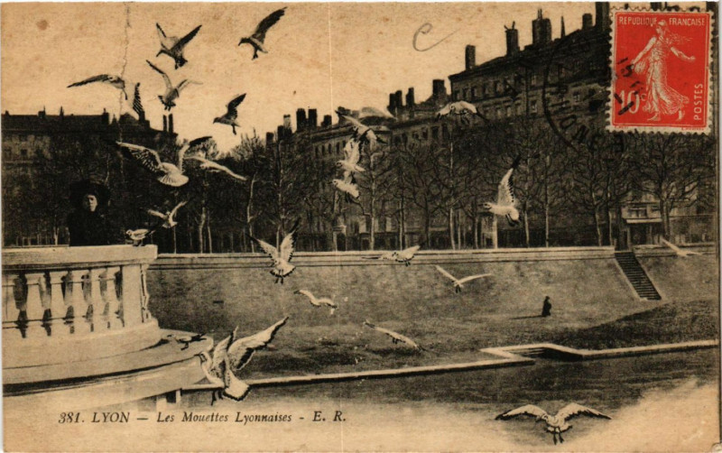 Carte postale ancienne Lyon Les Mouettes LYONnaises à Lyon