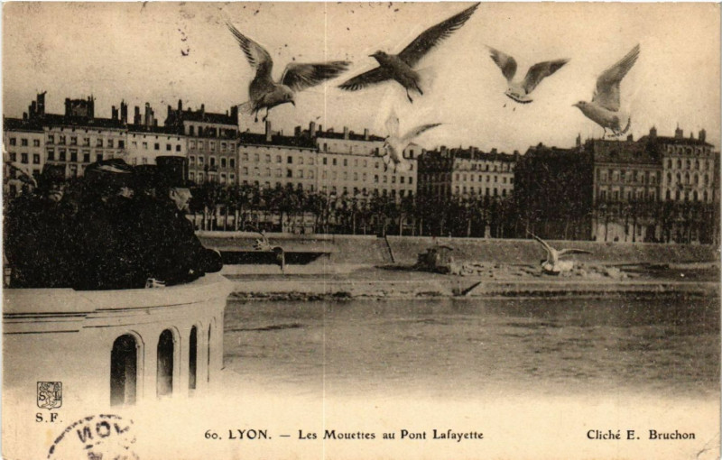 Carte postale ancienne Lyon Les Mouettes au Pont Lafayette à Lyon