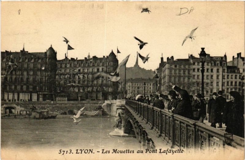 Carte postale ancienne Lyon Les Mouettes au Pont Lafayette à Lyon