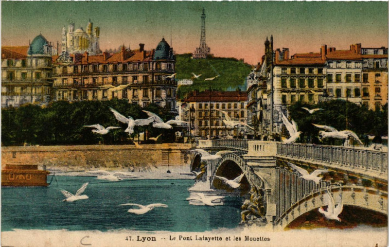 Carte postale ancienne Lyon Le Pont Lafayette et les Mouettes à Lyon