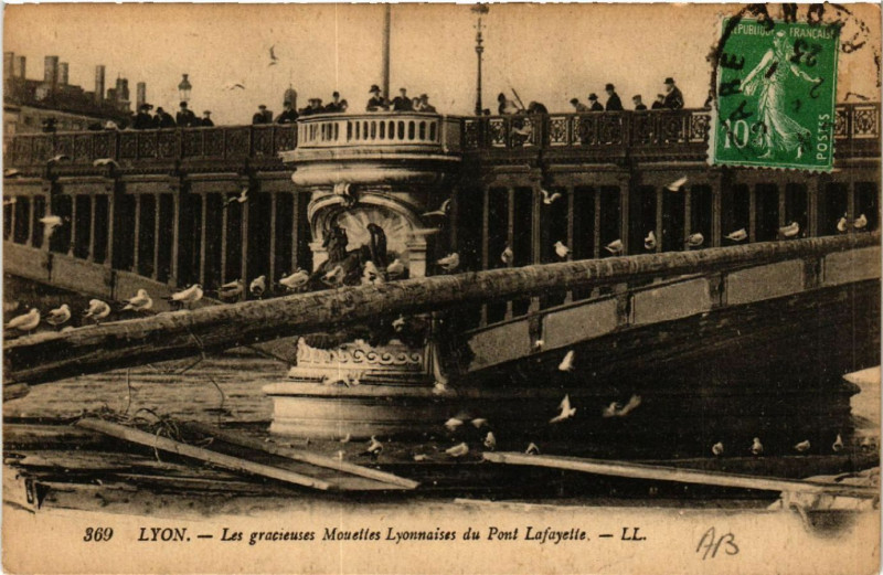 Carte postale ancienne Lyon Les gracieuses Mouettes LYONnaises du Pont Lafyette à Lyon