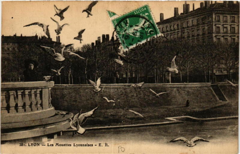 Carte postale ancienne Lyon Les Mouettes LYONnaises à Lyon