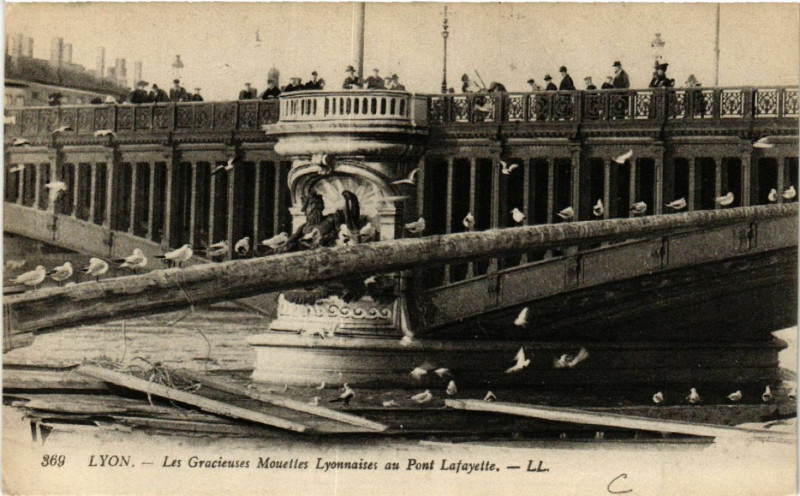 Carte postale ancienne Lyon Les gracieuses Mouettes LYONnaises du Pont Lafyette à Lyon