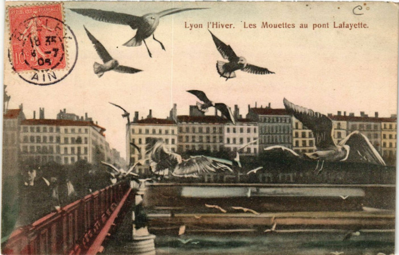 Carte postale ancienne Lyon l'Hiver Les Mouettes au Pont Lafayette à Lyon