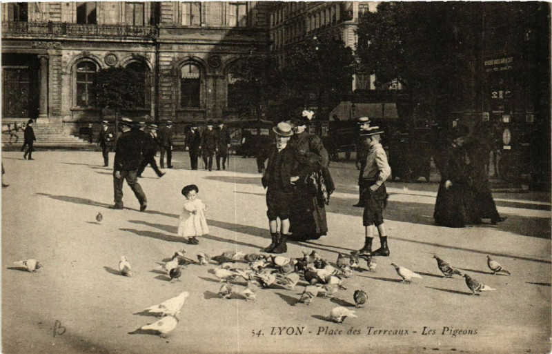 Carte postale ancienne Lyon Place des Terreaux Les Pigeons à Lyon