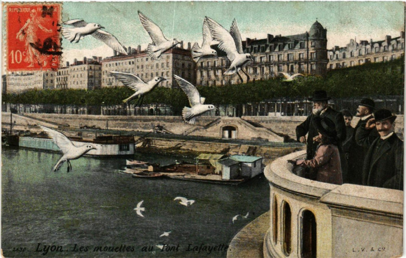 Carte postale ancienne Lyon Les Mouettes au Pont Lafayette à Lyon