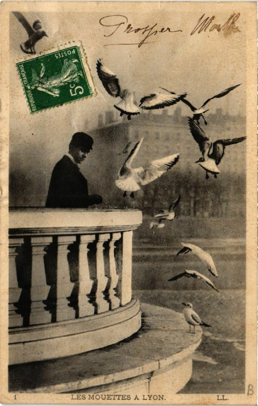Carte postale ancienne Lyon Les Mouettes à Lyon