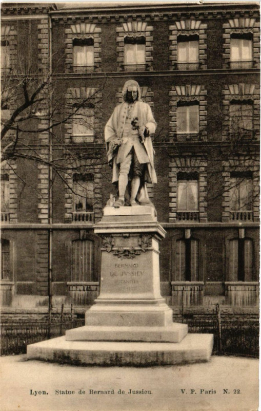 Carte postale ancienne Lyon Statue de Bernard de Jussieu ` à Lyon