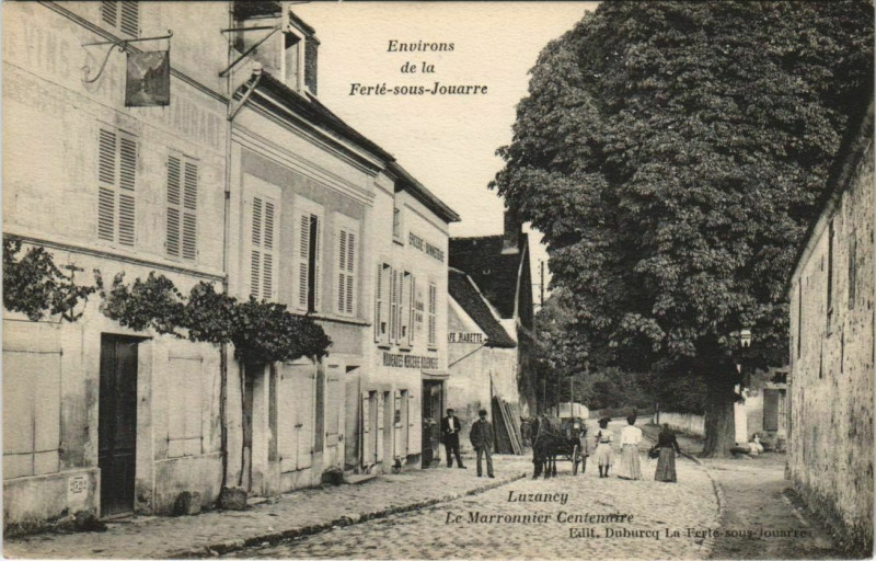 Carte postale ancienne Luzancy marronnnier Centenaire à Luzancy