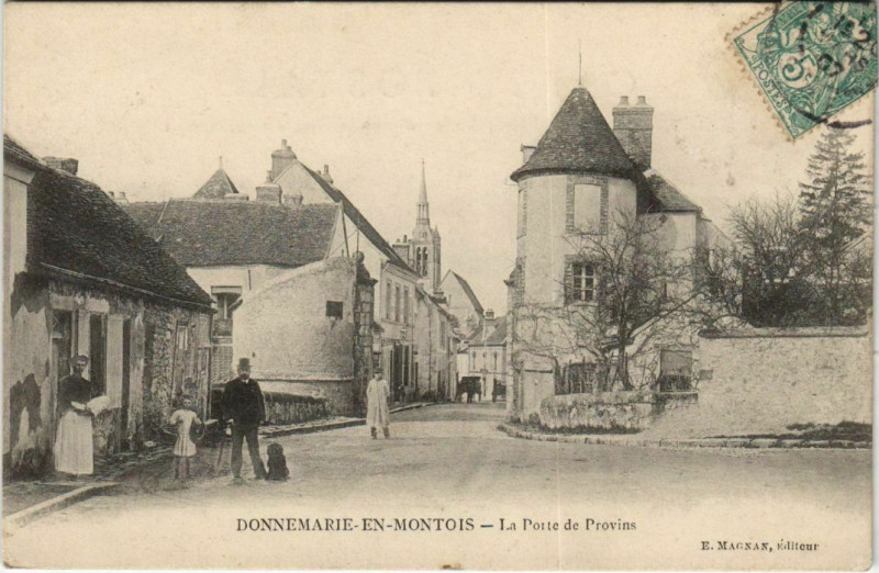 Carte postale ancienne Donnemarie-En-Montois Porte de Provins à Provins