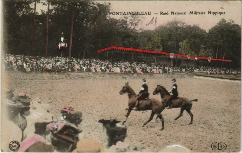 Carte postale ancienne Fontainebleau Raid National Militaire hippique à Fontainebleau
