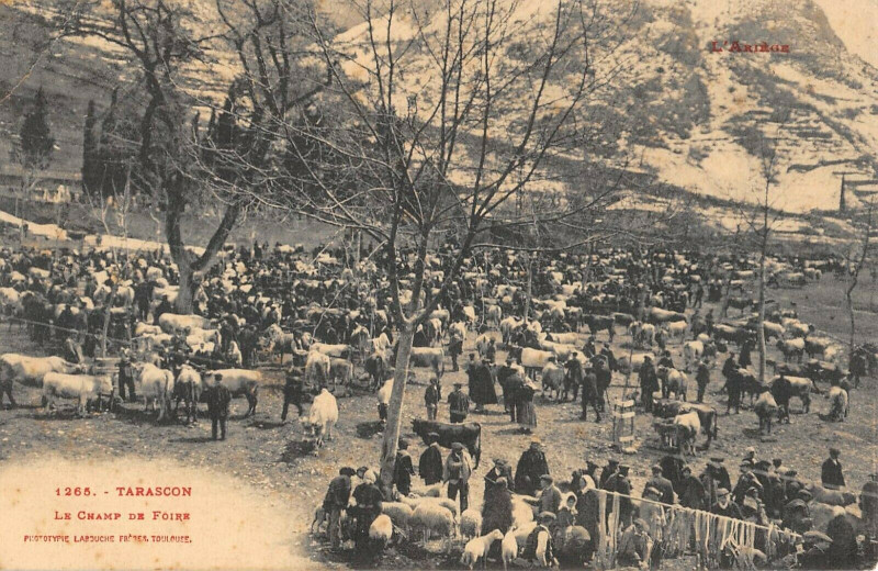 Carte postale ancienne Tarascon Le Champ De Foire