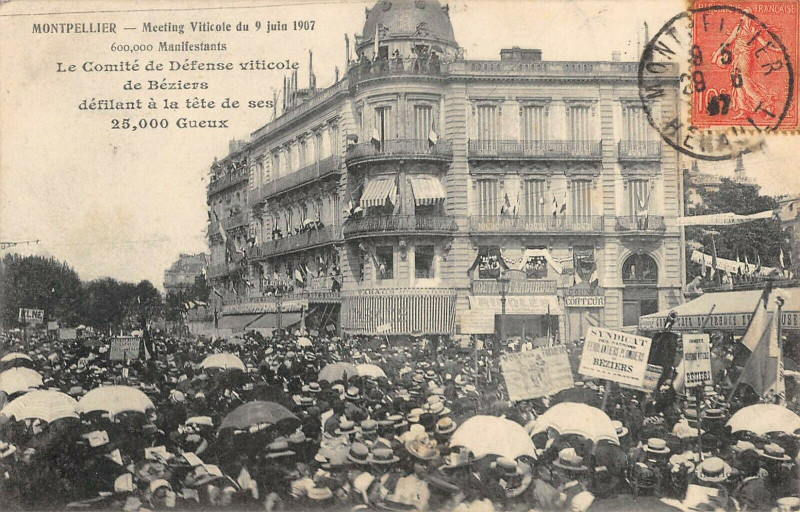 Carte postale ancienne Montpellier Meeting Viticole 1907 Comite De Defense Viticole De Beziers à Montpellier