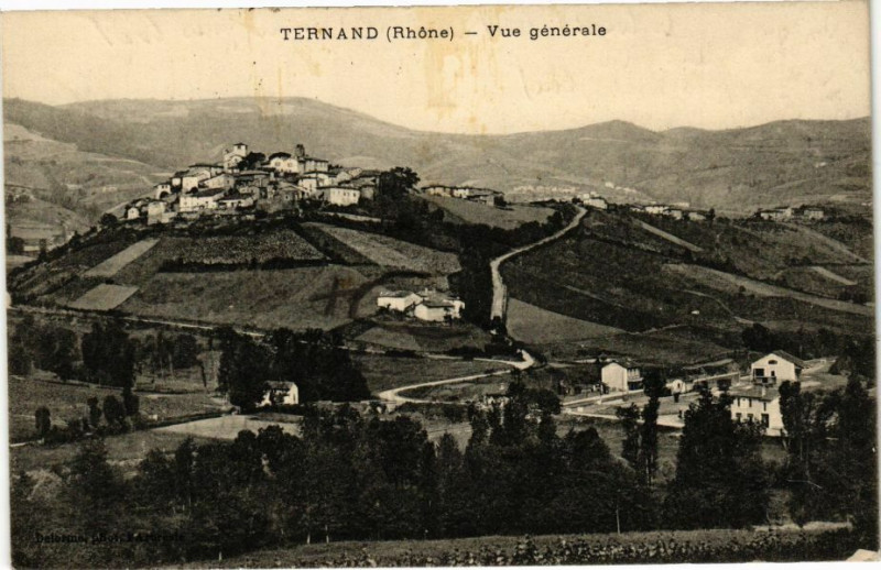 Carte postale ancienne Ternand-Vue générale à Ternand