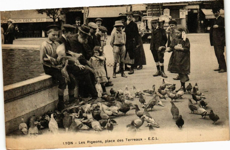 Carte postale ancienne Lyon-Les Pigeons-Place des Terreaux à Lyon