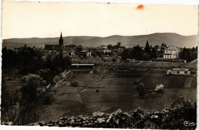 Carte postale ancienne Bois d'Oingt-Vue générale