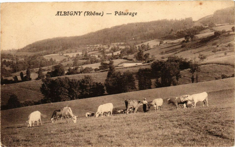 Carte postale ancienne Albigny-Paturage