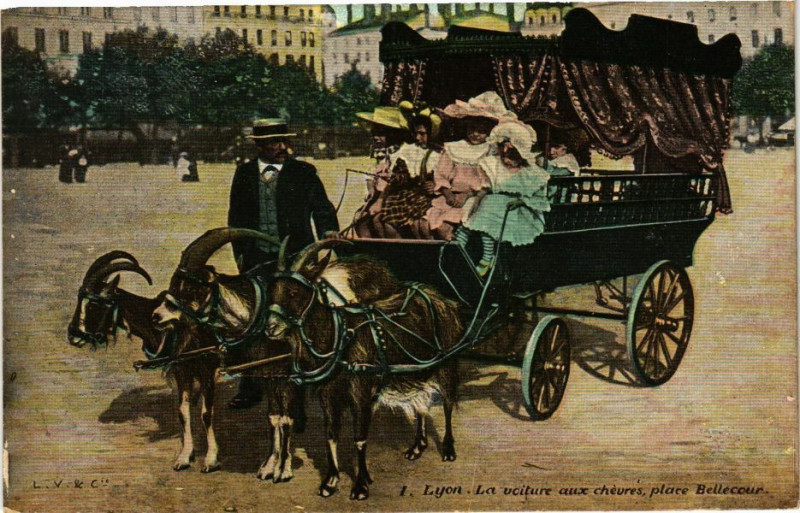 Carte postale ancienne Lyon - La voiture aux chevres place Bellecour à Lyon