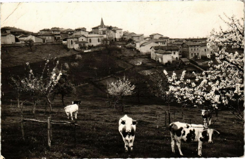 Carte postale ancienne Brussieu-Vue générale à Brussieu
