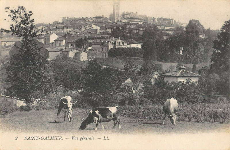 Carte postale ancienne Saint Galmier Vue Generale à Saint-Galmier