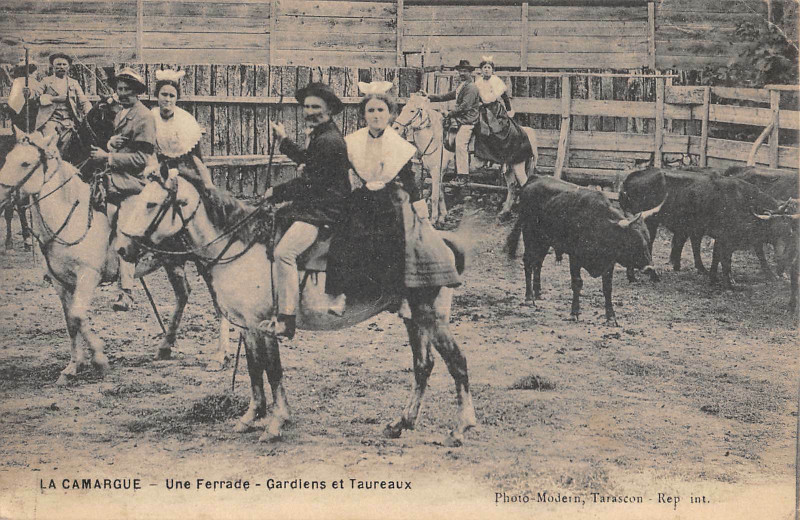 Carte postale ancienne La Camargue Une Ferrade Gardiens Et Taureaux