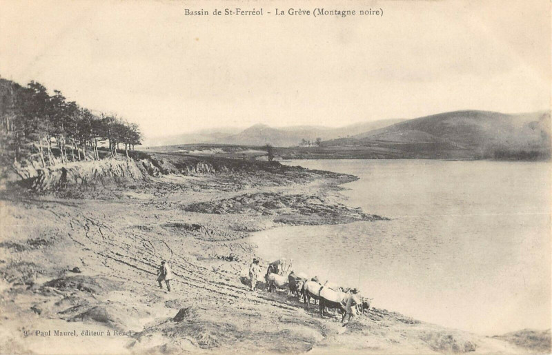 Carte postale ancienne Bassin De Saint Ferreol La Greve