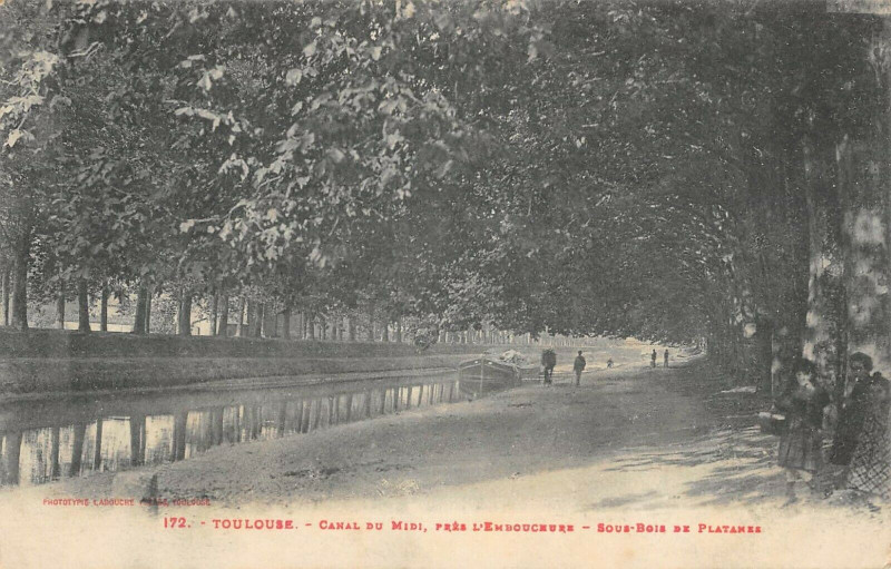 Carte postale ancienne Toulouse Canal Du Midi Pres L'Embouchure Sous Bois De Platanes à Toulouse