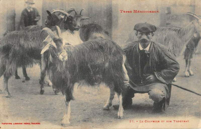 Carte postale ancienne Types Meridionaux Le Chevrier Et Son Troupeau