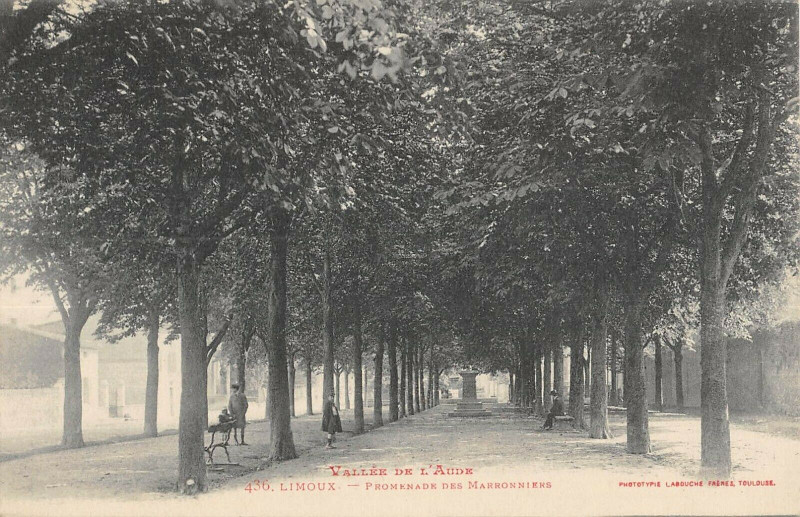 Carte postale ancienne Limoux Promenade Des Marronniers à Limoux