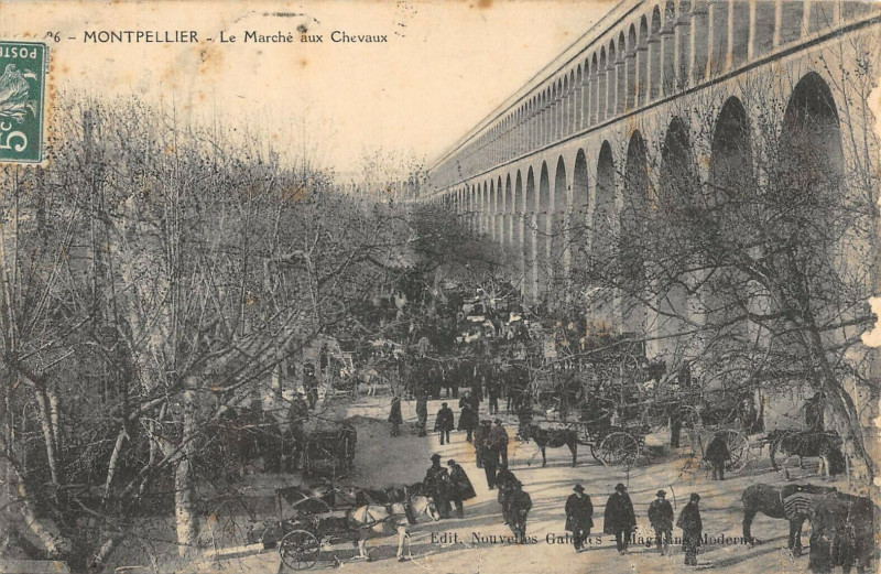 Carte postale ancienne Montpellier Le Marche Aux Chevaux à Montpellier