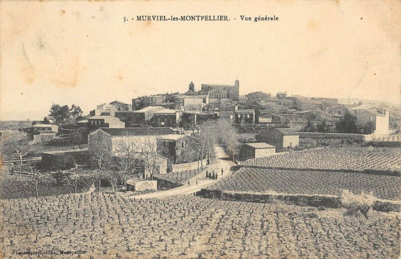 Carte postale ancienne Murviel Les Montpellier Vue Generale à Montpellier