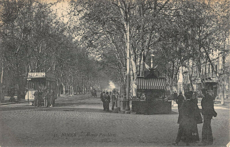 Carte postale ancienne Nimes Avenue Feucheres