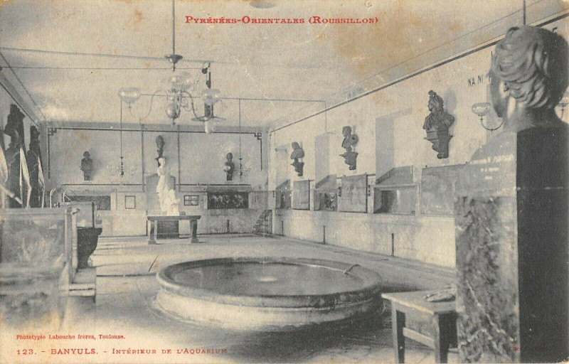 Carte postale ancienne Banyuls Interieur Aquarium à Ur