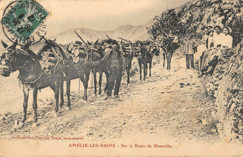 Carte postale ancienne Amelie Les Bains Sur La Route De Montalba à Ur