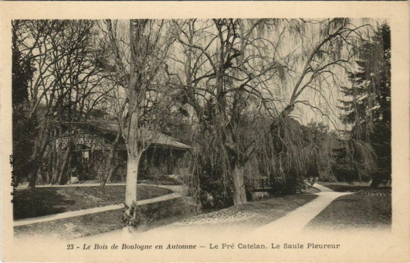 Carte postale ancienne Le Bois de Boulogne en Automne - Le Pré Catelan - Le Saule Pleureur à Paris 16e
