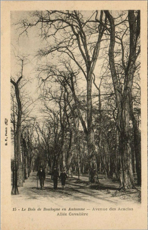 Carte postale ancienne Le Bois de Boulogne en Automne - Avenue des Acacias - Allée Cavalière à Paris 16e