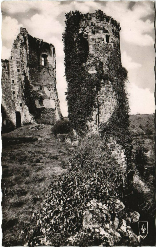 Carte postale ancienne Herisson Ruines du Chateau Feodal