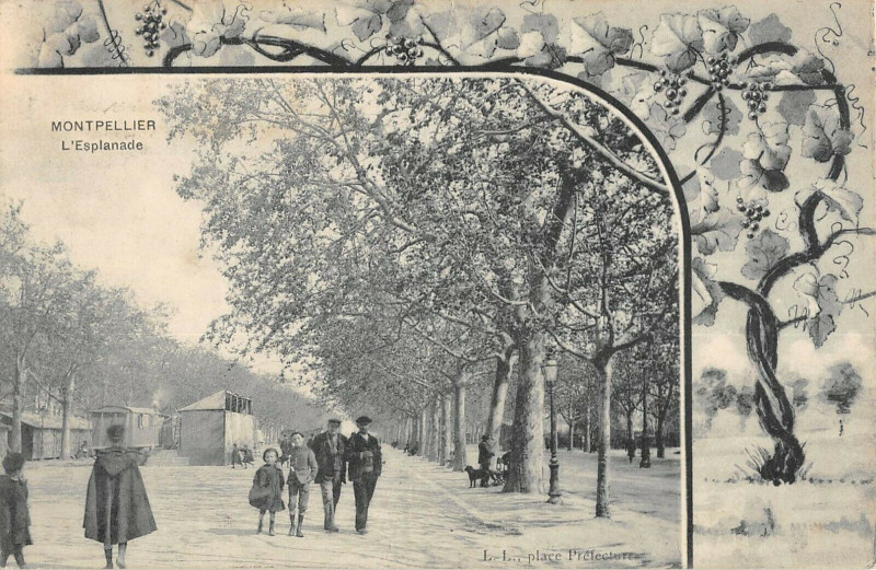 Carte postale ancienne Montpellier L'Esplanade à Montpellier