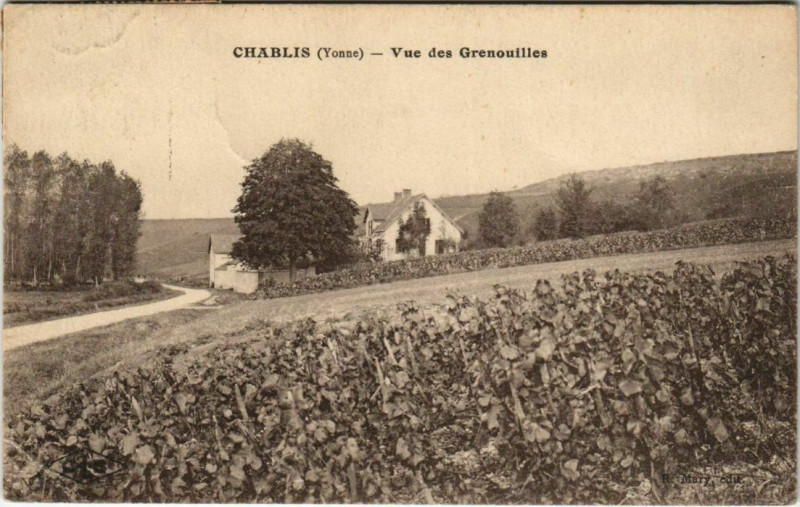 Carte postale ancienne Chablis Vue des Grenouilles France à Chablis