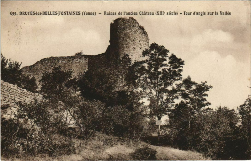 Carte postale ancienne Druyes les Belles-Fontaines Ruines de l'ancien Chateau France à Druyes-les-Belles-Fontaines