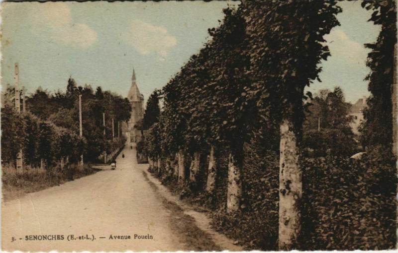 Carte postale ancienne Senonches Avenue Poucin à Senonches