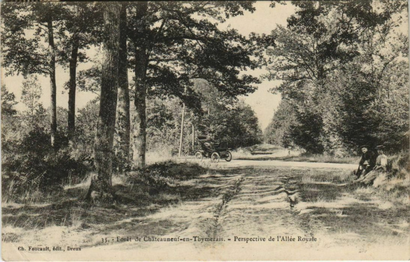 Carte postale ancienne Foret de Chateauneuf-en-Thymerais - Perspective de l'Allee Royale